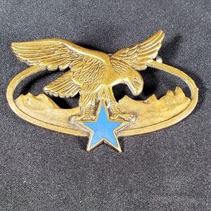 French Military Pin